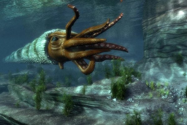 Kraken сайт зеркала krakens15 at