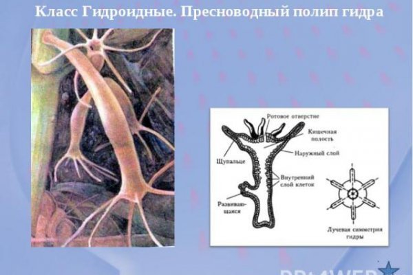 Как восстановить аккаунт на кракене